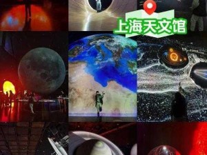 猫博物馆第五关天文馆通关流程：探索星辰之谜，解锁神秘猫博物馆之旅的第五篇章