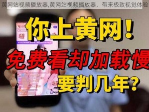 黄网站视频播放器,黄网站视频播放器，带来极致视觉体验