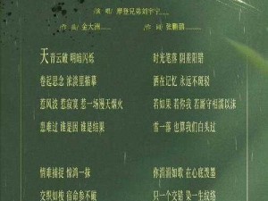 抖音摩登兄弟诗意沉醉全诗版试听：潮流旋律与文字魅力的完美融合