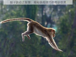 猴子跃动之智慧：揭秘跳棍技巧的奇妙世界