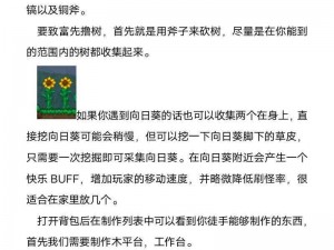 泰拉瑞亚游戏攻略：无尽箭袋的神奇作用与使用技巧