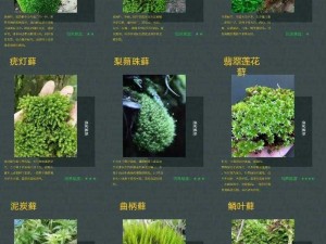 禁闭求生池塘苔藓获取攻略：详解池塘苔藓的采集方法与技巧