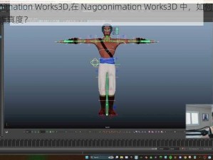 Nagoonimation Works3D,在 Nagoonimation Works3D 中，如何提高 3D 模型的逼真度？