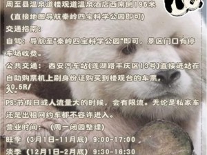 秦岭秘境探险记：山海异闻录多人探宝全攻略