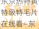 东京热特黄特级特毛片在线看—东京热特黄特级特毛片在线看，极致体验，让你欲罢不能