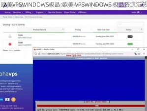 欧美VPSWINDOWS极品;欧美 VPSWINDOWS 极品资源汇总