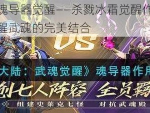 斗罗大陆新魂导器觉醒——杀戮冰霜觉醒作用揭秘：冰封之力与觉醒武魂的完美结合