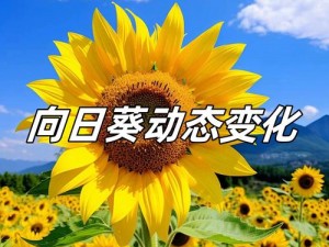 向日葵视频下载安装无限看-丝瓜IOS视频丝、如何下载安装向日葵视频，畅享无限看丝瓜 IOS 视频丝的乐趣？