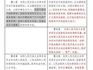 白荆回廊监督者升级策略详解：提升监督效能的方法与步骤介绍