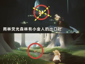 光遇星光失落之危机：星光消逝后的神秘影响探索