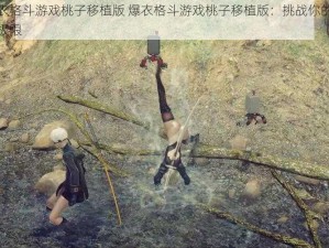 爆衣格斗游戏桃子移植版 爆衣格斗游戏桃子移植版：挑战你的战斗极限