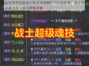 热血传奇手机版战士职业深度解析与玩法指南：战士技能、装备选择与战斗策略详解