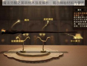 哈利波特魔法觉醒之黑胡桃木强度解析：揭示神秘材料力量的秘密之旅