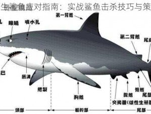 木筏求生鲨鱼应对指南：实战鲨鱼击杀技巧与策略探究