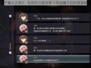 关于魔女之泉3：生命石升级攻略与黑暗魔力石的获取秘籍