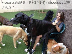 videosgratis欧美人狗—如何评价videosgratis 欧美人狗这个？