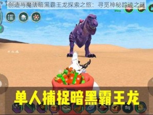 创造与魔法暗黑霸王龙探索之旅：寻觅神秘踪迹之谜