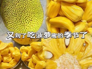 菠萝蜜免费入口一区二;菠萝蜜免费入口一区二，畅享精彩内容