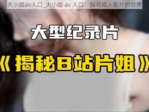 大小姐av入口_大小姐 av 入口：探寻成人影片的世界