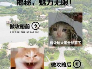 疯狂猜图CC品牌揭秘：探索答案之旅的无限魅力与创意联动