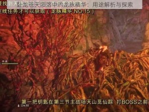 卧龙苍天陨落中的龙脉精华：用途解析与探索