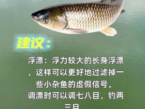 静谧之海钓鱼宝典：从准备工作到钓鱼技巧的全面攻略，成为海洋钓鱼高手的必备指南