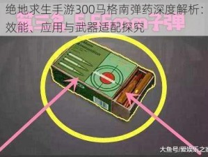 绝地求生手游300马格南弹药深度解析：效能、应用与武器适配探究