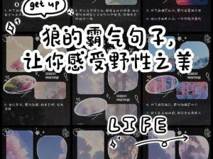 黑色沙漠驯兽师缘何缺乏狼之伴侣