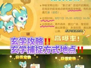 奥比岛手游五星宠物全攻略：捉捕地点大揭秘，轻松获取五星萌宠