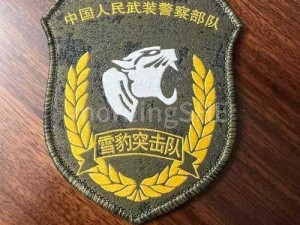 猎鹰突击队竞技玩法攻略：独特战术策略大揭秘，实战技巧不得不尝试