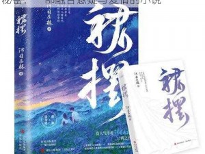 裙摆阿司匹林上的秘密、裙摆阿司匹林上的秘密：一部融合悬疑与爱情的小说