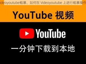 videoyoutube粗暴、如何在 Videoyoutube 上进行粗暴操作？