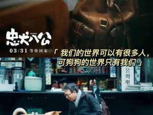 忠犬八公中国版上映时间揭晓，期待已久的心爱之作即将与观众见面