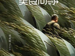 戴夫厨师的选择：烹饪之路上的关键决策与美食创新之旅