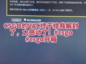 CSGO计算机屏蔽VAC系统解决方法：解决VAC系统屏蔽的有效指南