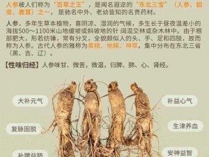 剑网三：人参获取攻略大揭秘：探寻最佳途径获取珍贵人参