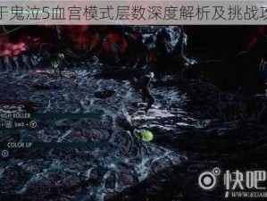 关于鬼泣5血宫模式层数深度解析及挑战攻略