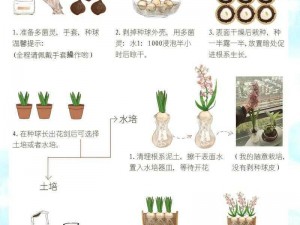 植物养护秘笈：从种子挑选到生长管理全攻略