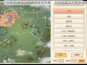 九州天空城3D游戏内的婚姻系统详解：如何结婚及所需条件概览