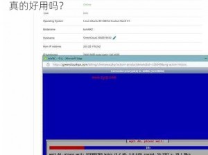 大肥胖VPSWINDOWS—大肥胖 VPSWINDOWS 真的好用吗？