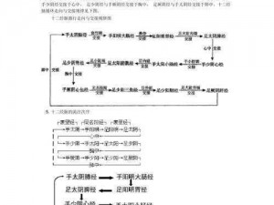 经脉升级之道：探索经脉冲开的条件与路径