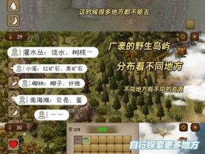 鲁宾逊荒岛求生指南：解锁生存模式探险宝典