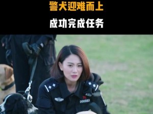 警犬第二部吕总百度网盘(如何获取警犬第二部吕总百度网盘资源)