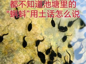 蝌蚪九色啦403;蝌蚪九色啦 403 是什么意思？