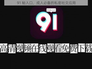 91 秘入口，成人必备的私密社交应用