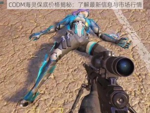 CODM海灵保底价格揭秘：了解最新信息与市场行情