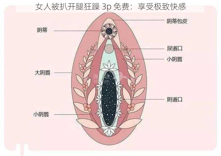 女人被扒开腿狂躁 3p 免费：享受极致快感