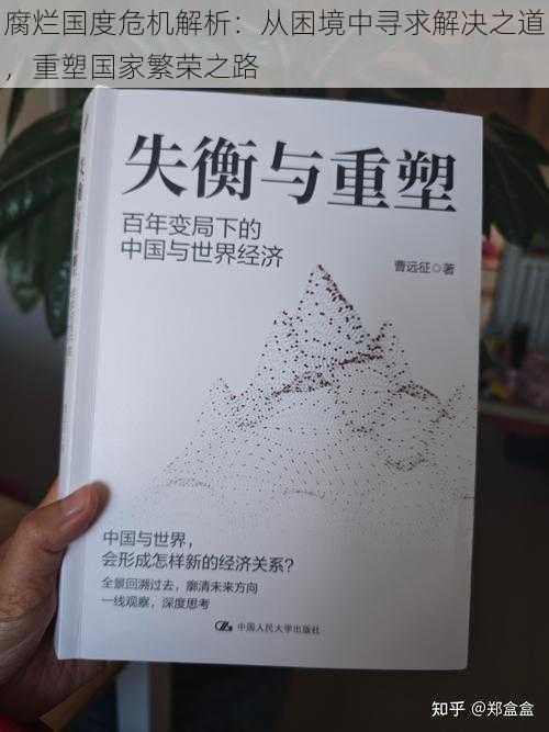 腐烂国度危机解析：从困境中寻求解决之道，重塑国家繁荣之路