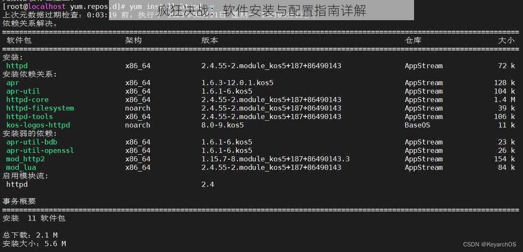 疯狂决战：软件安装与配置指南详解