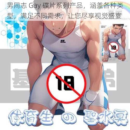 男同志 Gay 碟片系列产品，涵盖各种类型，满足不同需求，让您尽享视觉盛宴